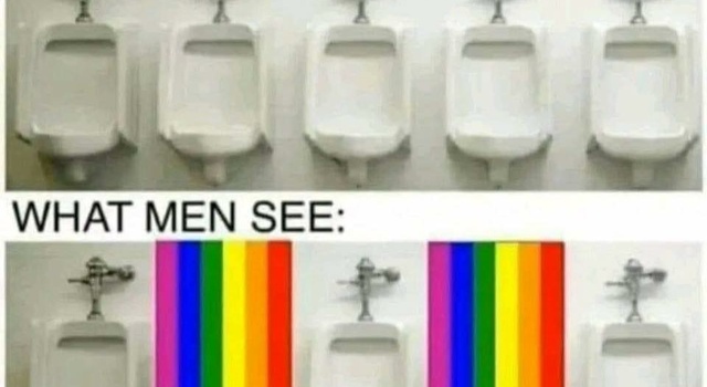 Their Point Of View