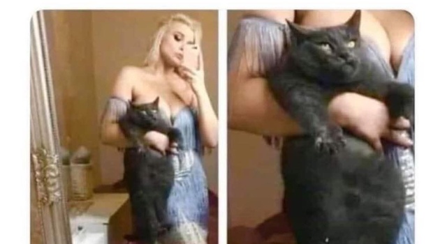 Different Kind Of Pussy