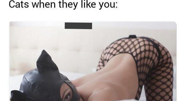 They Like You