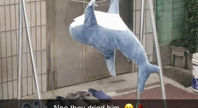 The Poor Thing