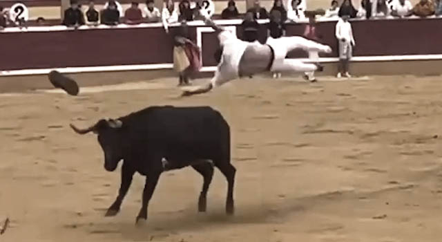 ANIMALS FUCKING HATE US: VOLUME 274