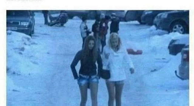 They Are Not Cold