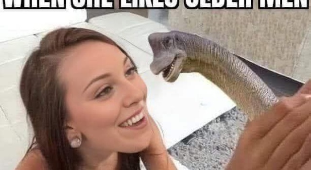 Older Cocks