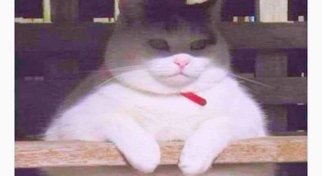 Your Order Sir