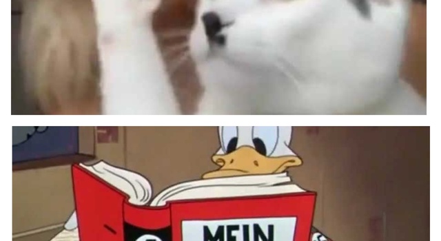 hitler