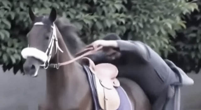 ANIMALS FUCKING HATE US: VOLUME 280