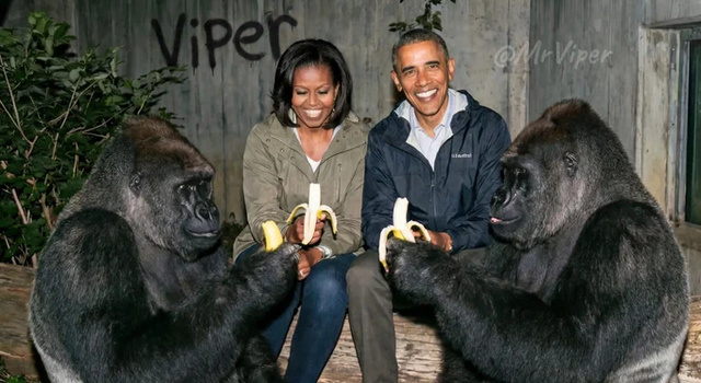 Family Reunion