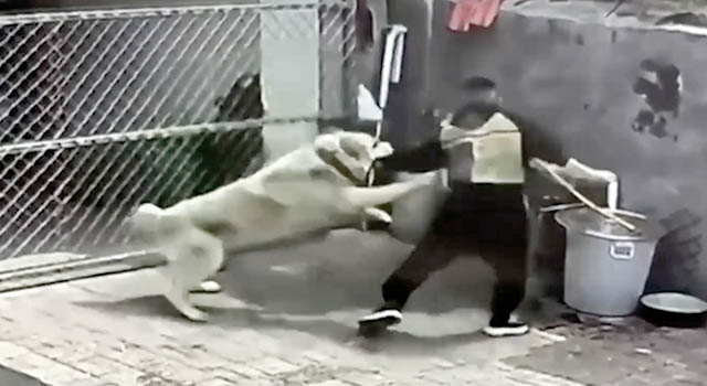ANIMALS FUCKING HATE US: VOLUME 281