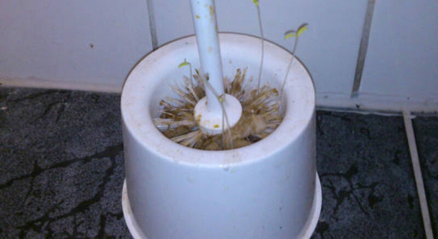 organic farming