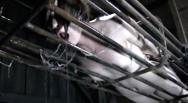 FREAKY FETISH FRIDAYS