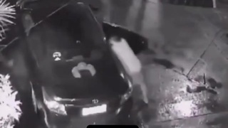 Wow, Bro Didnt Even Hesitate!