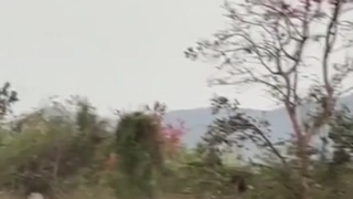 Animals Hate "Bhupinder knigknog"HE IS  Hard as nails 0MG!