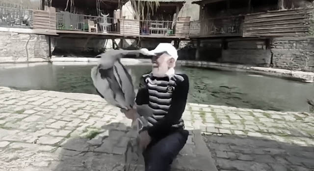 ANIMALS FUCKING HATE US: VOLUME 284