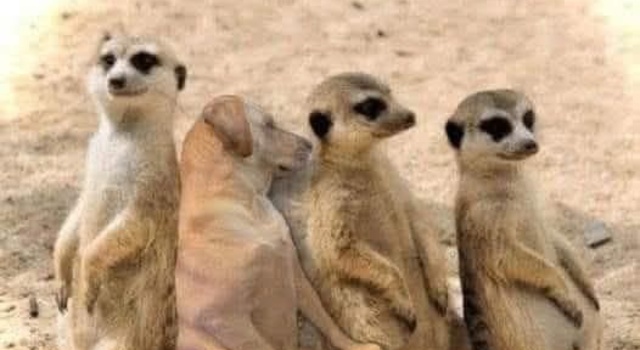 Not My Group