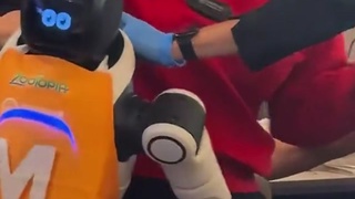 Waiter Robot Glitches