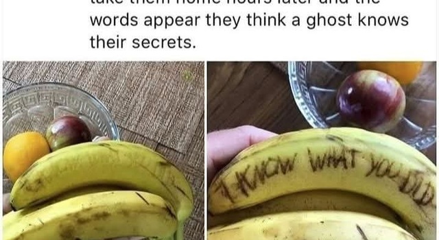 Scaring The People