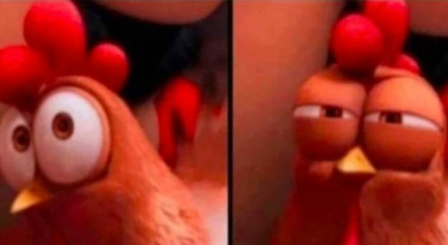 your girldfriend