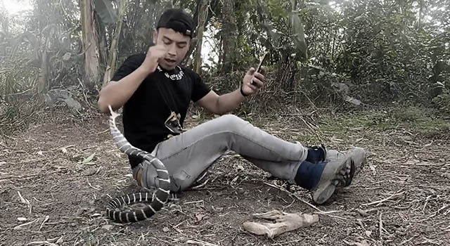 ANIMALS FUCKING HATE US: VOLUME 285