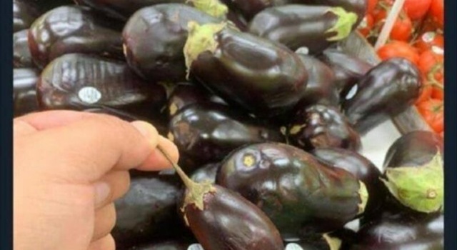 eggplant