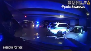 PLAY STUPID GAMES