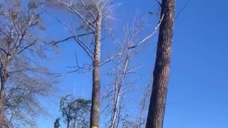 Knocked the fuck out