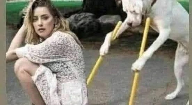 Cleaning Your Shit