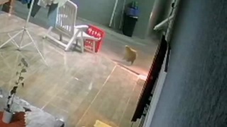 Woman Kills Home Invader