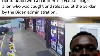 ILLEGAL ALIEN FROM HAITI, OF COURSE