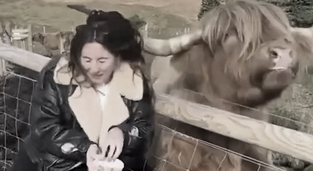 ANIMALS FUCKING HATE US: VOLUME 290