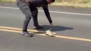 Random Shits 12
