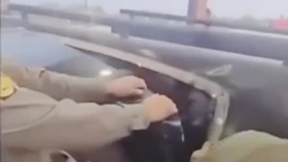 Illegal Aliens Hiding Inside Of Truck (Literally)