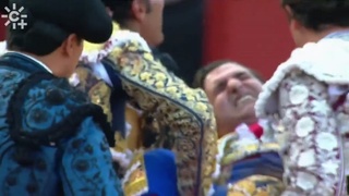 Bullfighter received rectal perforation