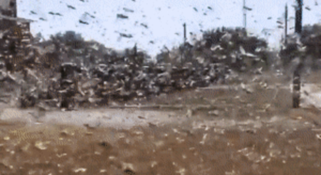 Our Southern Border Under the Obiden regime