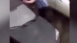 Chick beating on dude