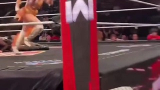 Wrestling Is Fake But Neck Injuries Are Real