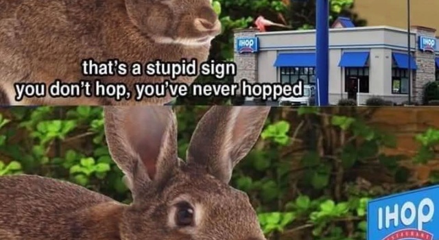 You Lying Shit