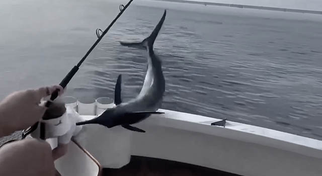 ANIMALS FUCKING HATE US: VOLUME 287