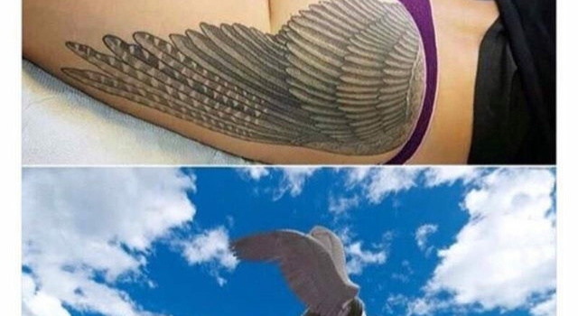 what a