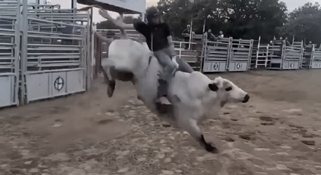 ANIMALS FUCKING HATE US: VOLUME 286