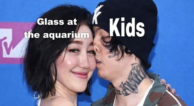 Watching The Fish
