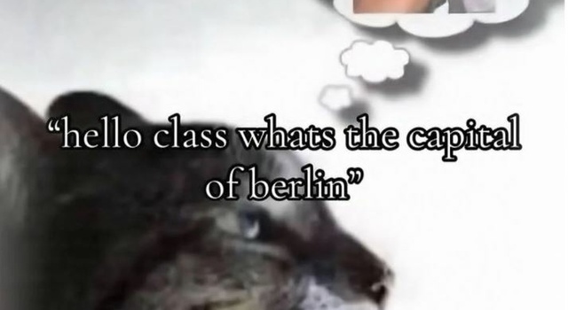 Teacher Is Confused