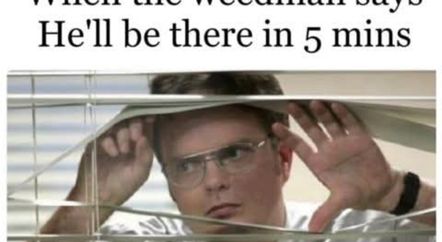 Where Is He