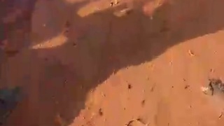 POW Detainment Africa Style