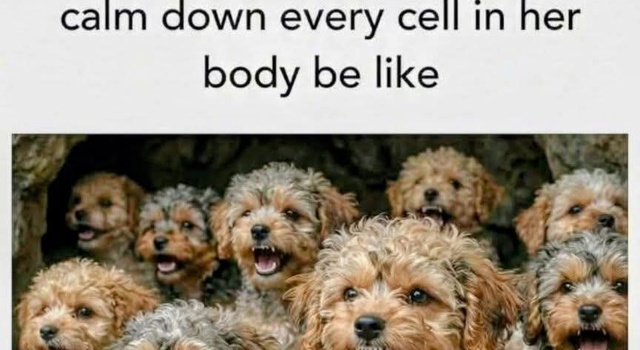 Every Single Cell