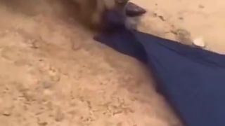 Family dispute