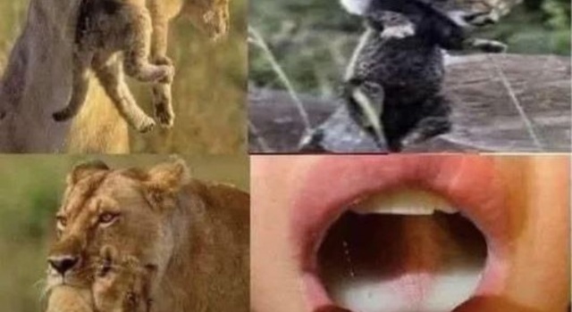Nature Is Beautiful