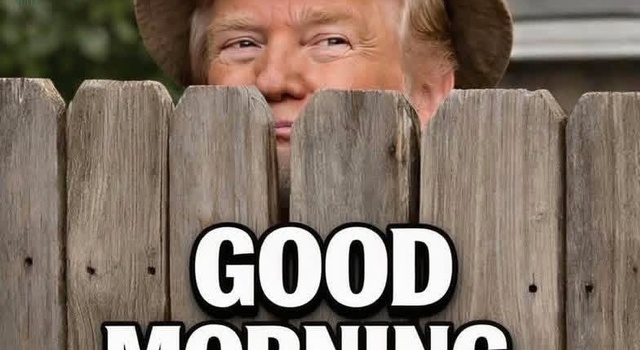 Good morning TDS psychopaths