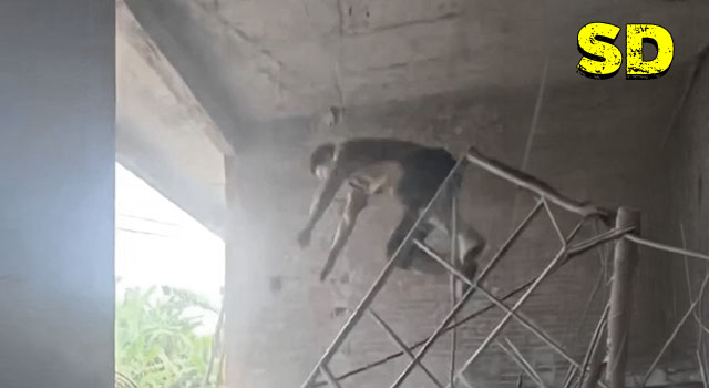 15 PEOPLE DEFINITELY HAVING A SHITTIER DAY THAN YOU