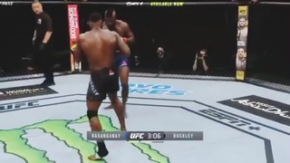 The Best Knockout Kick In UFC History!