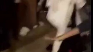 Quick KO
